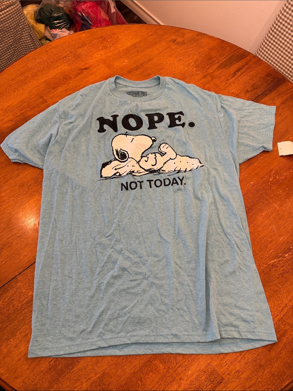 Snoopy 'Nope. Not Today.' Light Blue Graphic Tee xl